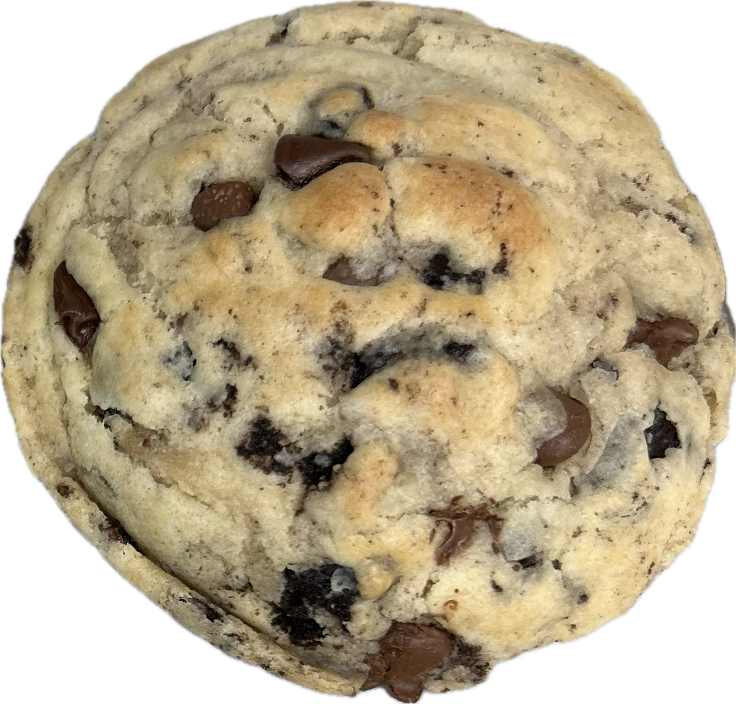 Chocolate Chip Oreo