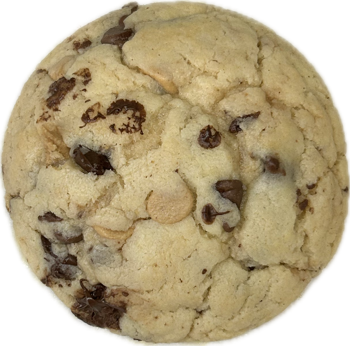 Chocolate Chip Reese