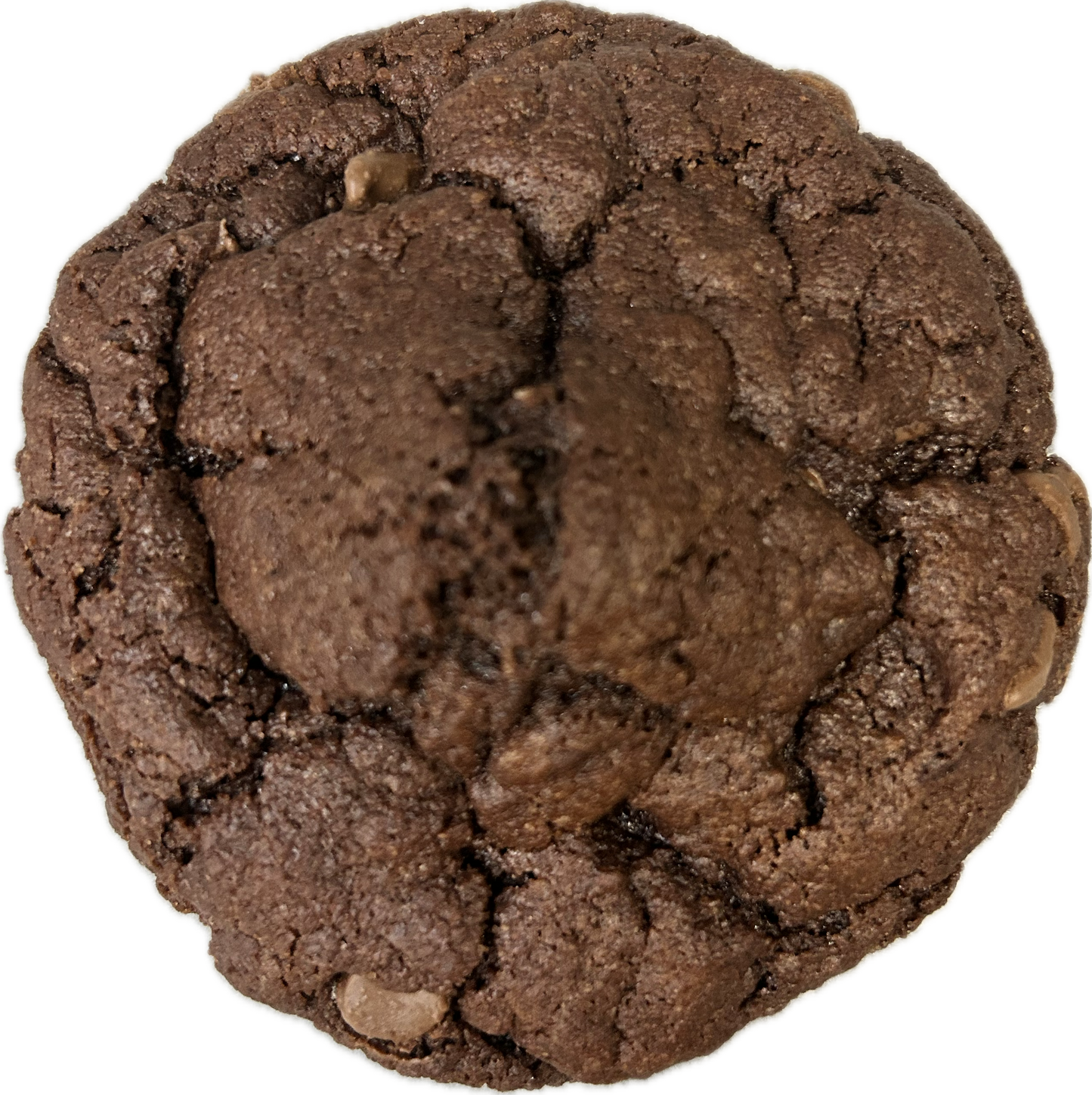 Hazel Double Chocolate