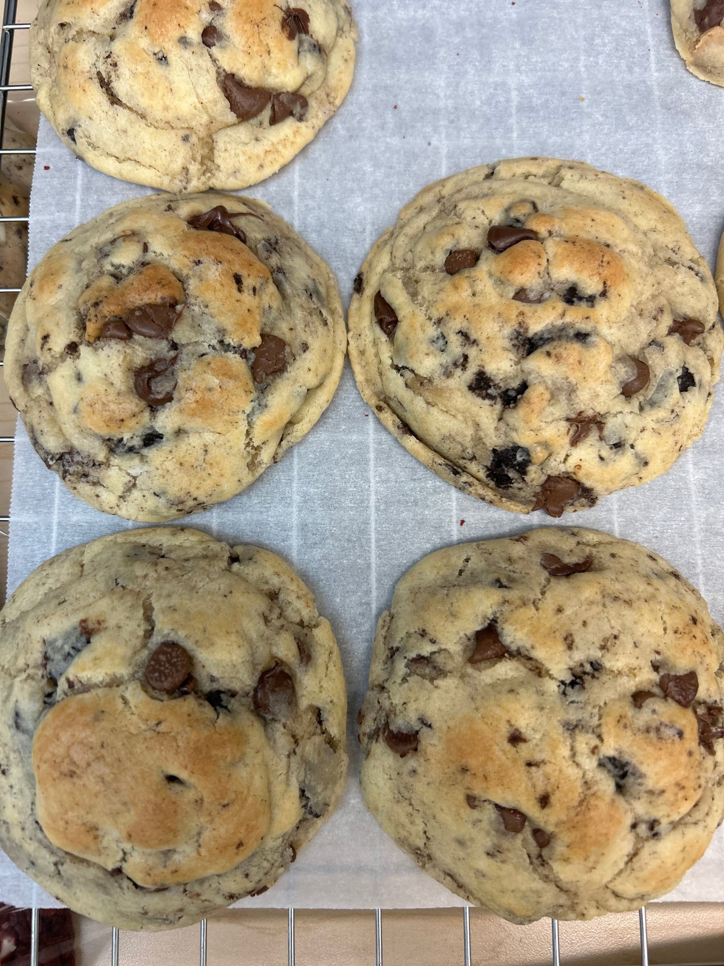 Chocolate Chip Oreo